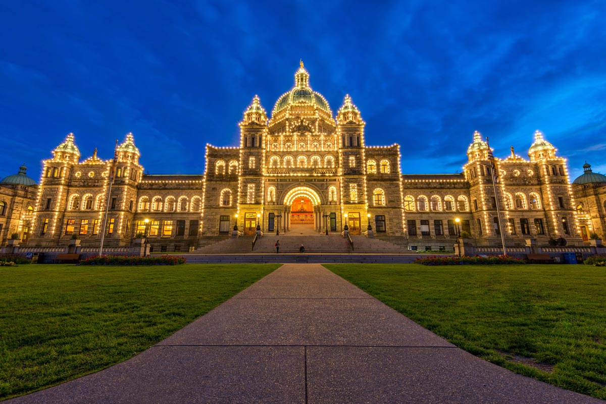 Appendix anchor image